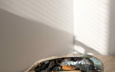 Qu’est-ce que la naturopathie ?
